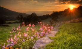 Phoolon Ki Ghati Ke Baren Me