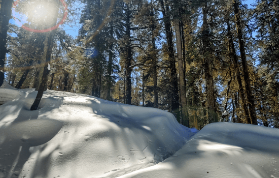 Dhanaulti Snowfall 