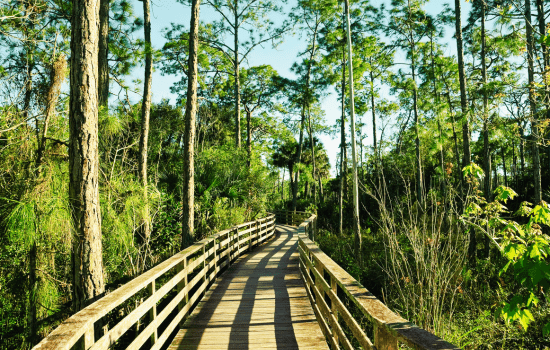 Wildlife-Sanctuaries-of-Uttarakhand